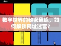 數(shù)字世界的秘密通道，如何解鎖網(wǎng)址迷宮？