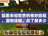 探索未知世界的奇妙旅程，腐物攻略，你了解多少？
