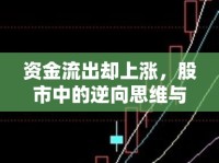 資金流出卻上漲，股市中的逆向思維與市場心理解析