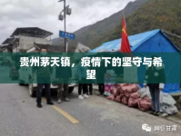 貴州茅天鎮(zhèn)，疫情下的堅守與希望