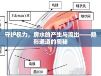 守護視力，房水的產(chǎn)生與流出——隱形通道的奧秘