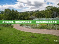 溫州植物園，綠意盎然的新篇章——最新視頻揭秘自然之美
