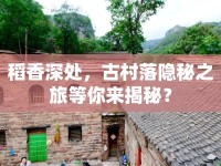 稻香深處，古村落隱秘之旅等你來揭秘？