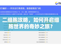 二細(xì)胞攻略，如何開啟細(xì)胞世界的奇妙之旅？