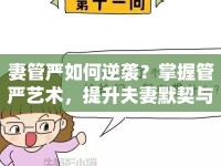 妻管嚴(yán)如何逆襲？掌握管嚴(yán)藝術(shù)，提升夫妻默契與樂(lè)趣