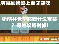 奶酪谷倉里藏著什么寶藏？探險攻略揭秘！