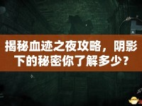 揭秘血跡之夜攻略，陰影下的秘密你了解多少？