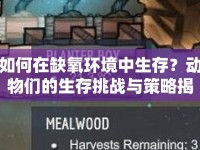 如何在缺氧環(huán)境中生存？動物們的生存挑戰(zhàn)與策略揭秘！
