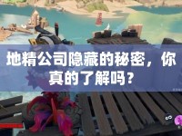 地精公司隱藏的秘密，你真的了解嗎？