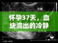 懷孕37天，血塊流出的冷靜應(yīng)對與科學(xué)解讀