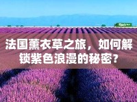 法國薰衣草之旅，如何解鎖紫色浪漫的秘密？