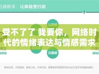 受不了了 我要你，網(wǎng)絡(luò)時代的情緒表達與情感需求