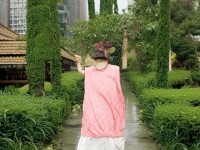 雷霆問(wèn)道手游安卓版，如何全面攻略修仙之旅？