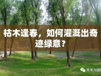 枯木逢春，如何灌溉出奇跡綠意？