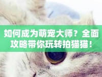 如何成為萌寵大師？全面攻略帶你玩轉(zhuǎn)拍貓貓！