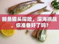 鯡魚罐頭探險，深海挑戰(zhàn)，你準(zhǔn)備好了嗎？