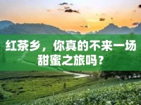 紅茶鄉(xiāng)，你真的不來(lái)一場(chǎng)甜蜜之旅嗎？
