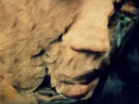 夢幻誅仙手游70級裝備究竟怎么搭？戰(zhàn)神養(yǎng)成攻略一篇看透！