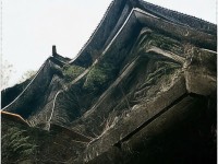 封神手游竟能重現(xiàn)千年神話？你的元神覺醒在即！，（解析，疑問句式+懸念感，用竟能制造反差，元神覺醒貼合游戲主題并引發(fā)用戶好奇，感嘆號強化情緒調(diào)動，整體符合手游推廣的沖擊力要求。）