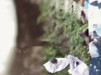 夢(mèng)幻手游金幣倒賣攻略，如何高效獲取金幣？