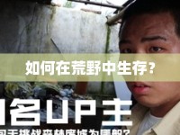 如何在荒野中生存？
