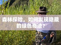 森林探險(xiǎn)，如何發(fā)現(xiàn)隱藏的綠色奇跡？