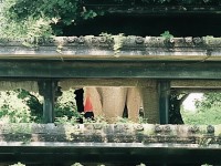 坐騎青卷為何能成為熱血江湖手游中的仙逸之選？