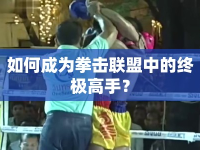 如何成為拳擊聯(lián)盟中的終極高手？