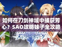 如何在刀劍神域中捕獲芳心？SAO攻略妹子全攻略來啦！