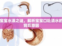 寶寶水漾之謎，解析寶寶口吐清水的背后原因
