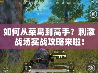 如何從菜鳥到高手？刺激戰(zhàn)場(chǎng)實(shí)戰(zhàn)攻略來啦！
