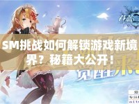 SM挑戰(zhàn)如何解鎖游戲新境界？秘籍大公開！