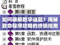 如何破解數(shù)字謎題？揭秘致命程序攻略的終極指南