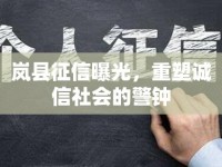嵐縣征信曝光，重塑誠信社會(huì)的警鐘