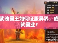 武魂霸王如何征服異界，成就霸業(yè)？