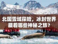 北國雪域探險，冰封世界藏著哪些神秘之旅？