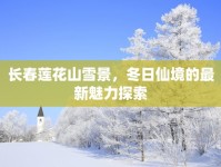 長春蓮花山雪景，冬日仙境的最新魅力探索