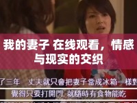 我的妻子 在線觀看，情感與現(xiàn)實的交織