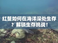 紅蟹如何在海洋深處生存？解鎖生存挑戰(zhàn)！