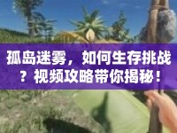 孤島迷霧，如何生存挑戰(zhàn)？視頻攻略帶你揭秘！