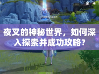 夜叉的神秘世界，如何深入探索并成功攻略？