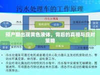 預產(chǎn)期出現(xiàn)黃色液體，背后的真相與應對策略