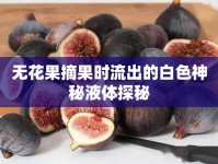 無(wú)花果摘果時(shí)流出的白色神秘液體探秘