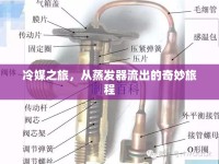 冷媒之旅，從蒸發(fā)器流出的奇妙旅程