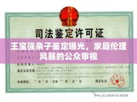 王寶強親子鑒定曝光，家庭倫理風暴的公眾審視