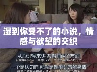 濕到你受不了的小說，情感與欲望的交織