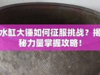 水缸大錘如何征服挑戰(zhàn)？揭秘力量掌握攻略！