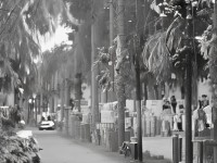 虎頭怪染色如何平衡個(gè)性與美學(xué)？