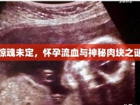 驚魂未定，懷孕流血與神秘肉塊之謎