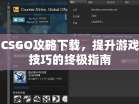 CSGO攻略下載，提升游戲技巧的終極指南